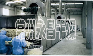 DWC系列脫水蔬菜帶式干燥機(jī)