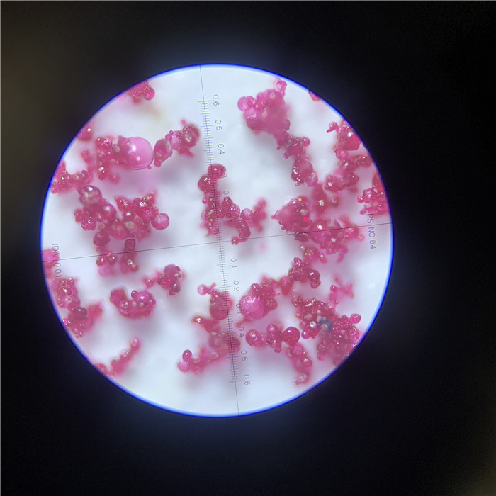 甜菜根噴霧造粒干燥機(jī)，南京某生物試料-常州永昌制粒